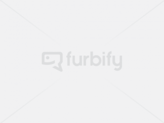 Počítač Dell Precision 5820 (NVIDIA Quadro P2000 4GB)