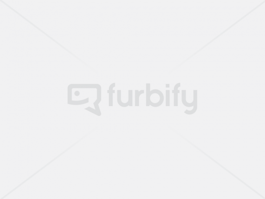 Notebook Lenovo ThinkPad T590 – Obrázok 4